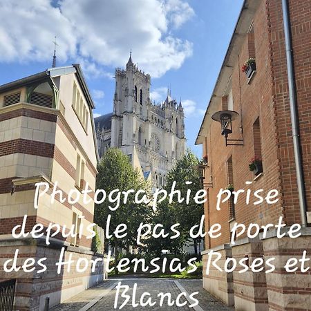 Les Hortensias Blancs Studio 阿棉 外观 照片
